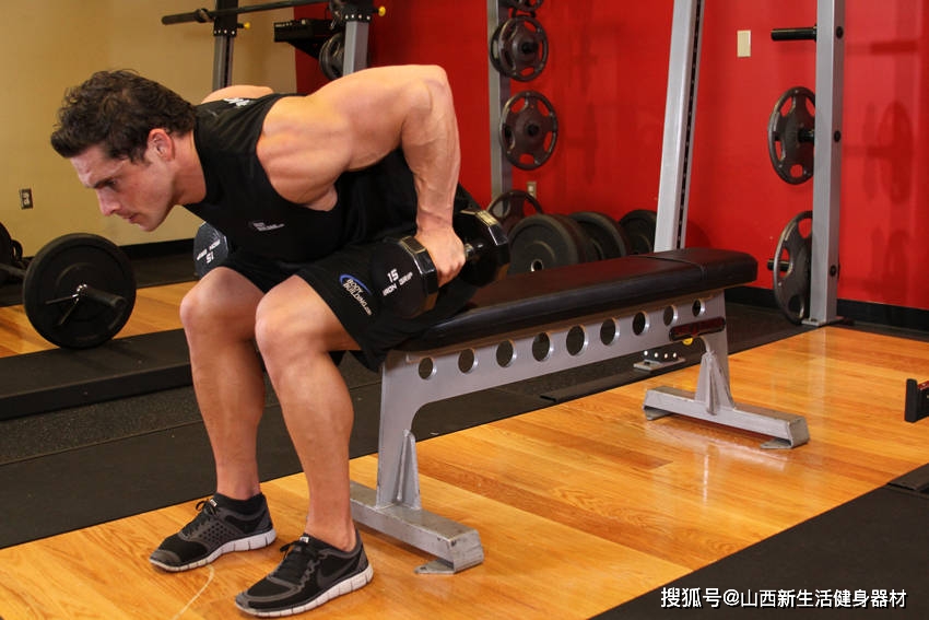 新澳门天天免费谜语下载 哑铃椅的正确使用方法