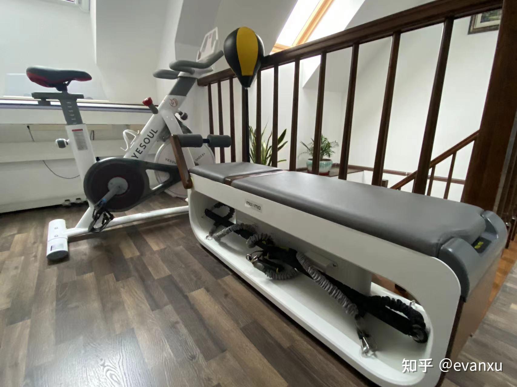 健身椅_哑铃凳与多功能健身凳对比_健身凳选购指南