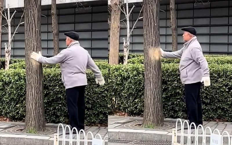 坚持戴手套晨练三个月效果_健身手套样式_天冷晨练戴手套好处