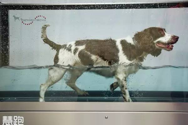 高端跑步机_家用跑步机_反重力跑步机原理