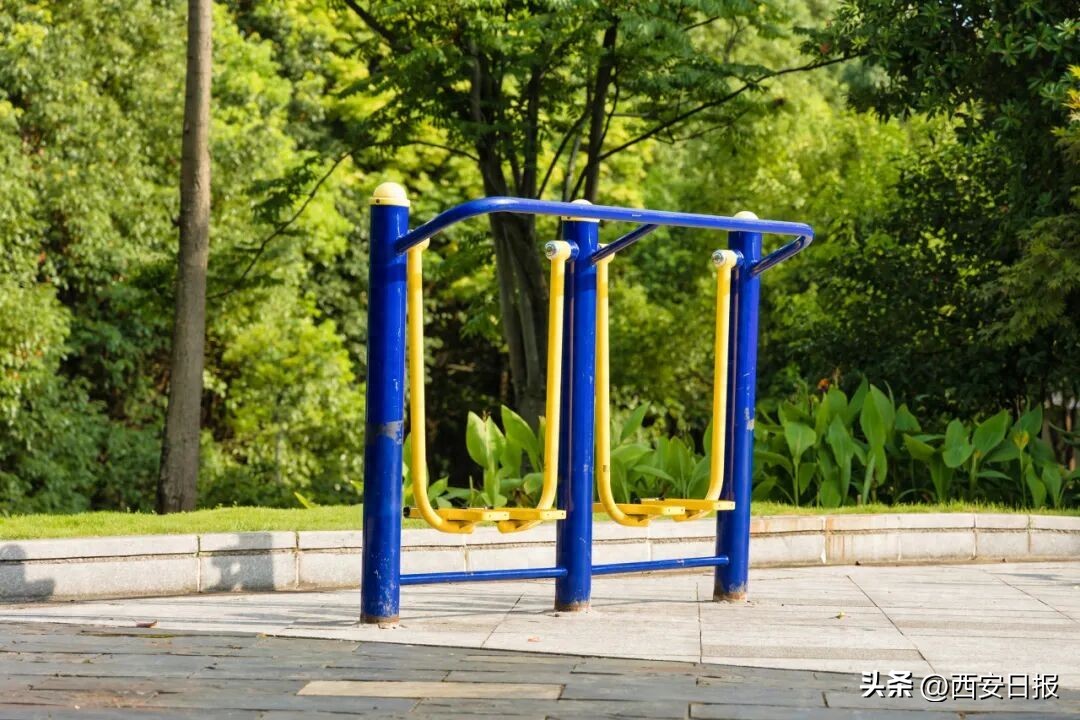 健身椅的正确使用方法_太空漫步机正确用法_小区健身器材使用方法