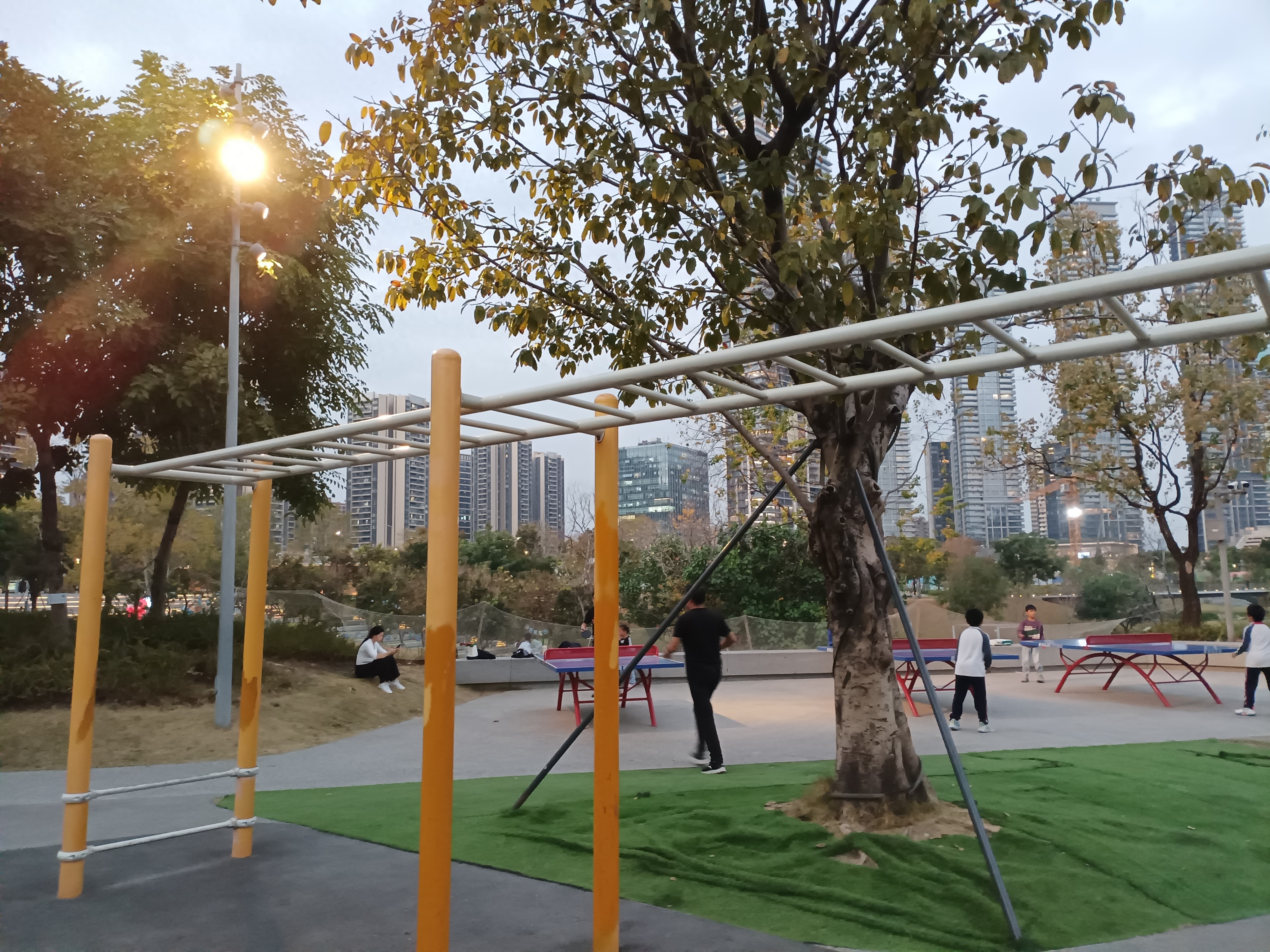 2025年天天免费资料,2025 为什么再累也要做运动？长期坚持下去，你会收获什么好处？