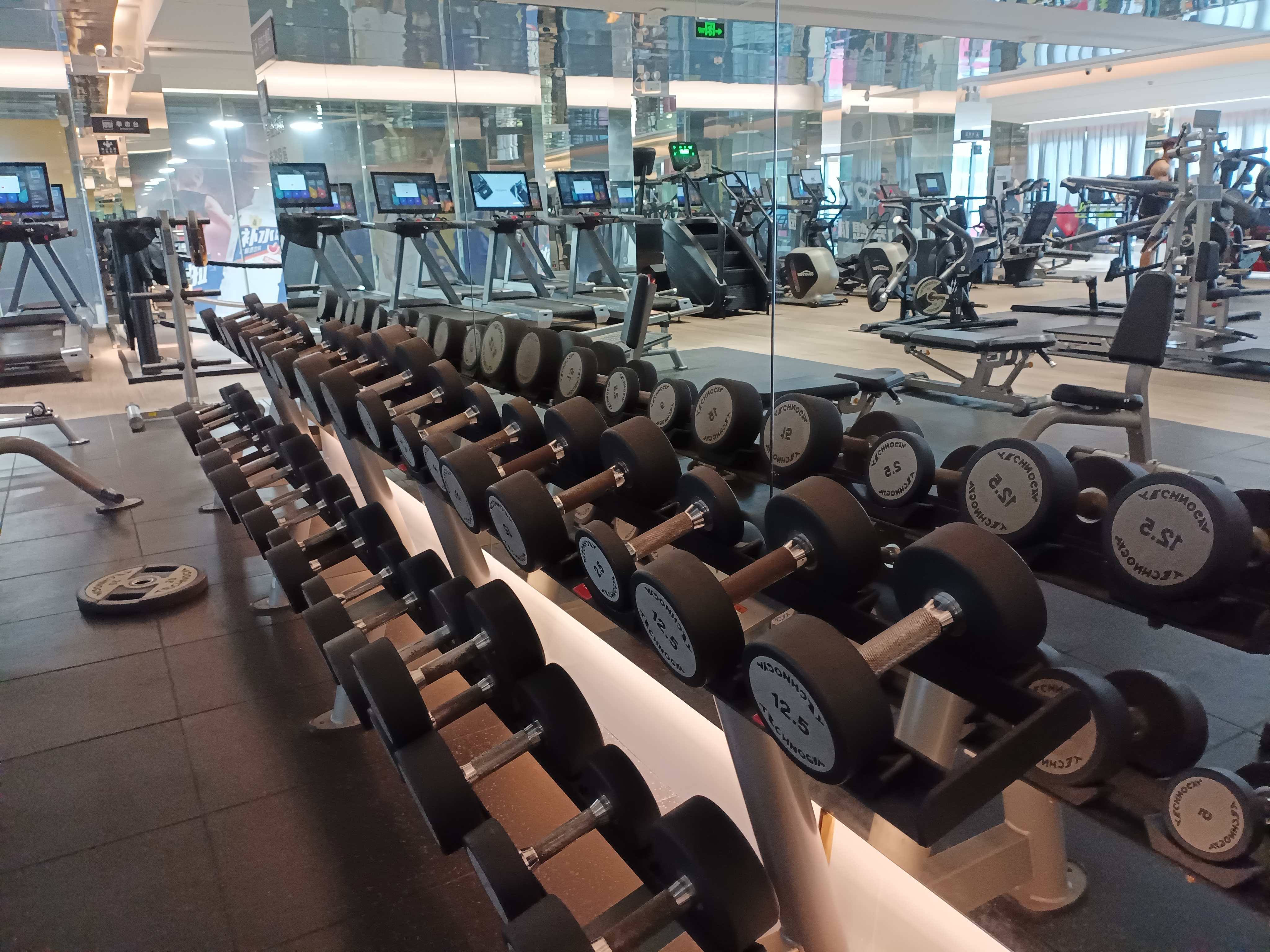 长期坚持运动的身体变化_累到极致时运动_健身椅的好处