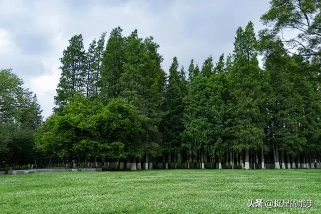 培养优秀孩子的家长智慧_教育不是监工与苦役_智慧教子的八大方法