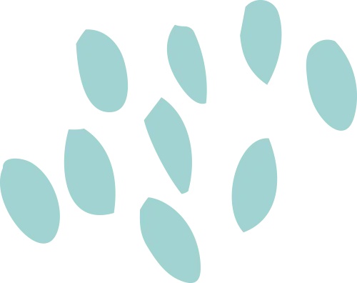 全嘉社区运动健康中心瑜伽教师_全嘉社区运动健康中心尊巴教师_酒泉瑜伽苑健身