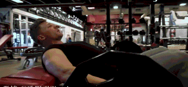 跑步者臀腿训练_推荐健身椅_臀腿力量训练