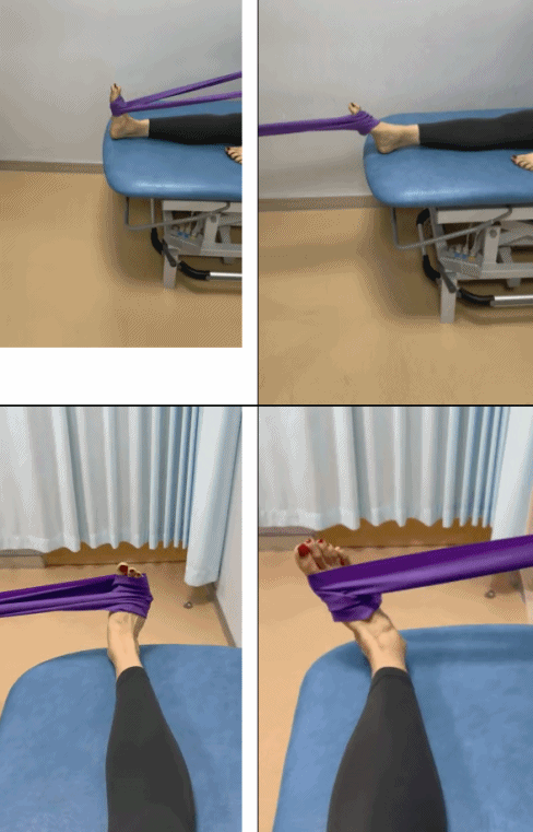 弹力带锻炼方法_弹力带训练动作推荐_健身椅怎么用