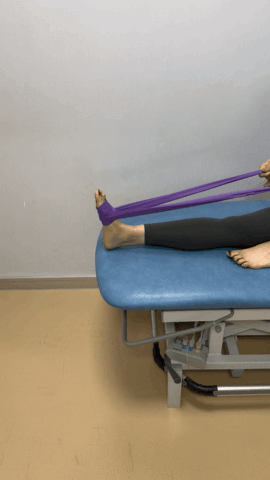 健身椅怎么用_弹力带锻炼好处_弹力带训练动作推荐