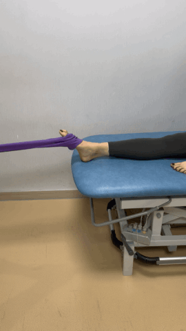 健身椅怎么用_弹力带锻炼好处_弹力带训练动作推荐