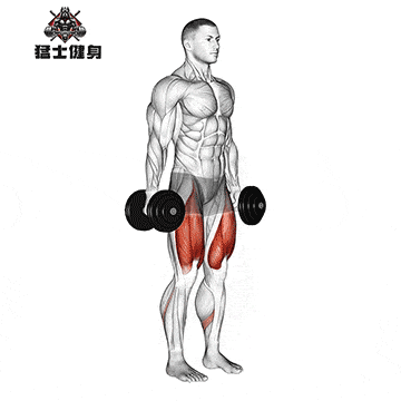 三人综合训练器_高效健身训练方案_哑铃多关节促睾增肌动作