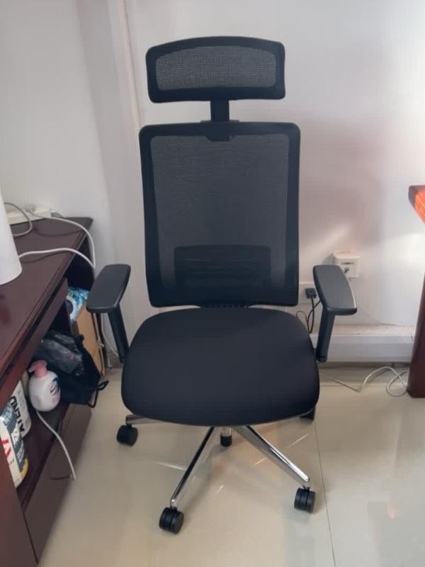 久坐人群人体工学椅选择_健身椅使用方法视频_人体工学椅口碑推荐