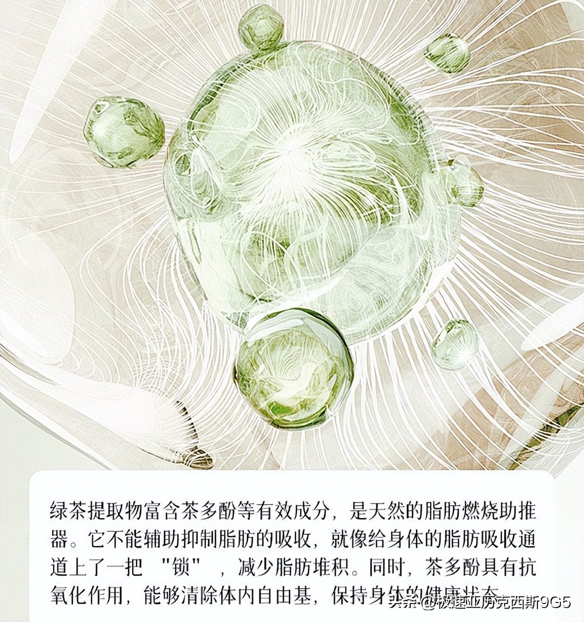 左旋肉碱哪个牌子好_综合训练器什么牌子好_左旋肉碱品牌排行榜前十名