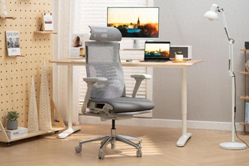 人体工学椅护腰护脊 仿生脊椎动态调节 8轴双芯漂移卸力底盘_健身椅使用方法视频